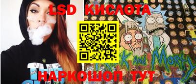 индика Обнинск