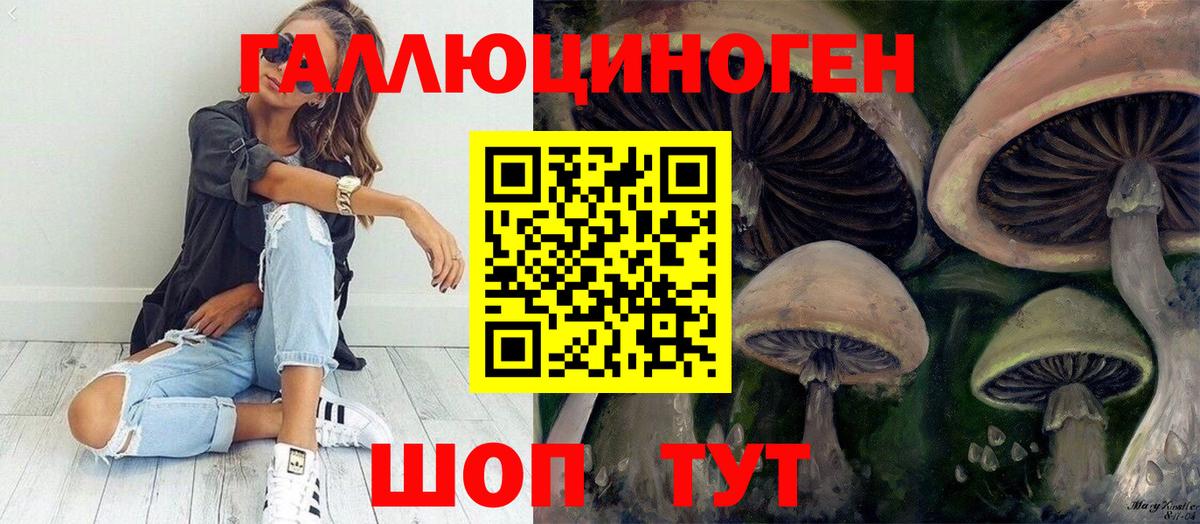 Псилоцибиновые грибы мицелий Пушкино